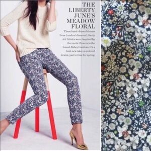 J.Crew Liberty June’s Meadow Blue Denim Ditzy Floral Art to Wear Toothpick Jeans